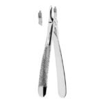 Extracting Forceps