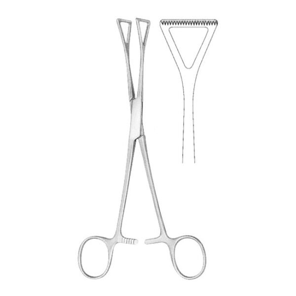 Tissue Forceps